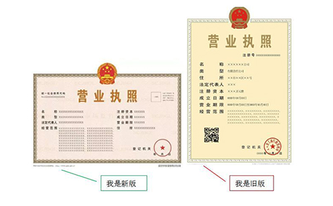 營業(yè)執(zhí)照副本編號怎么查詢？（最新詳細介紹）